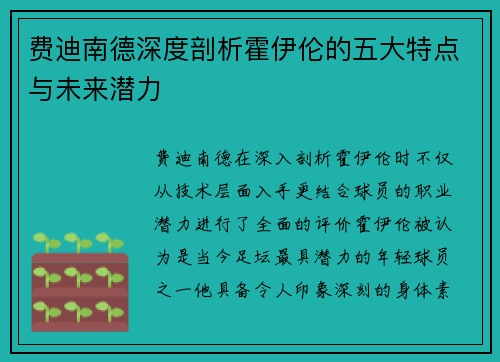 费迪南德深度剖析霍伊伦的五大特点与未来潜力