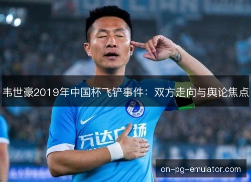 韦世豪2019年中国杯飞铲事件：双方走向与舆论焦点